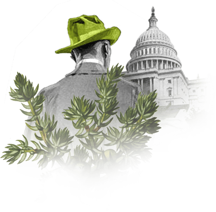 Man in the Green Hat stands before the United States Capitol Building